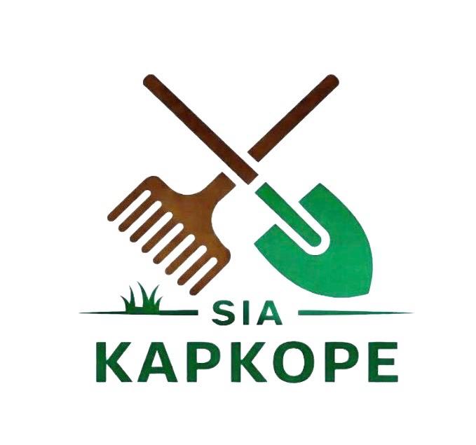 whatsapp image 2026 04 16 at 17.24.42